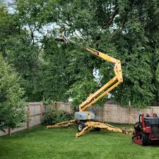 Soil Testing and Treatment in Bellevue, NE